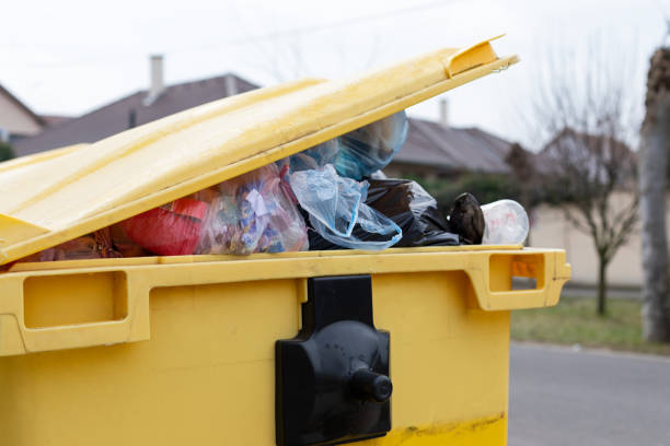 Best Basement Cleanout  in Teague, TX